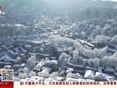 【欢乐过大年】九江庐山：外省游客来赣过年 雪景花车目不暇接