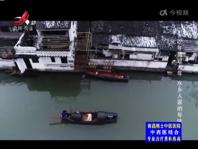 吃年猪过大年 水乡人家的年味