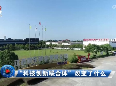 社会传真20230103 “科技创新联合体”改变了什么