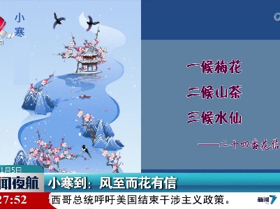 小寒到：风至而花有信