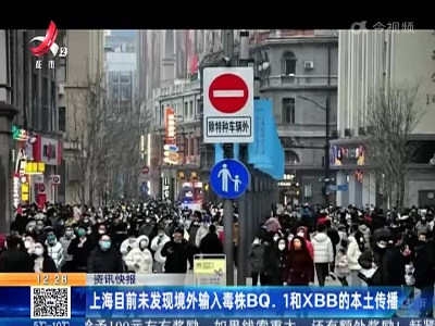 上海目前未发现境外输入毒株BQ.1和XBB的本土传播