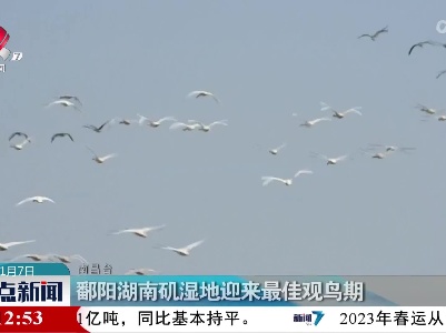 整点新闻20230107 14:00