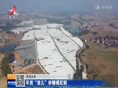 吉安永丰：年货“宠儿”砂糖橘旺销