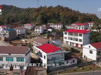 社会传真20230113 奋斗新时代 书写新篇章：绘“丰”景 促振兴
