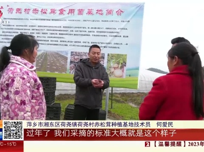 【新春走基层】萍乡湘东：村里试点蘑菇大棚种出“希望” 效益初显有望成“振兴力量”