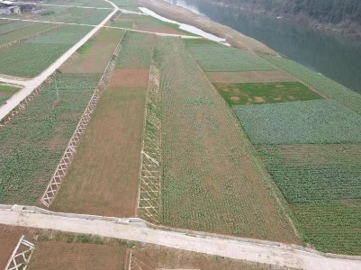 吉安市“峡江翠冠梨”获评全国名特优新农产品