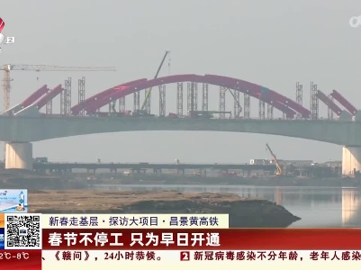 【新春走基层·探访大项目】昌景黄高铁：春节不停工 只为早日开通