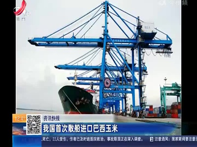 我国首次散船进口巴西玉米