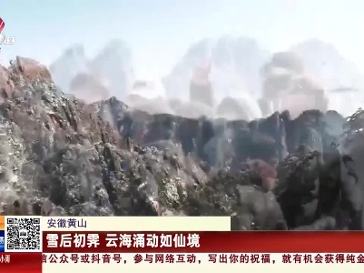 安徽黄山：雪后初霁 云海涌动如仙境