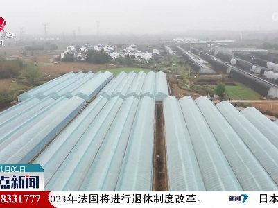 整点新闻20230101 14:00