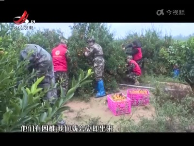 抚州：志愿者暖心助农 帮忙采摘橘子上万斤