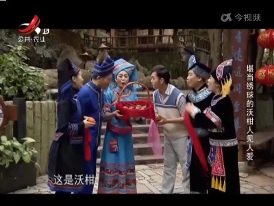 堪当绣球的沃柑人见人爱