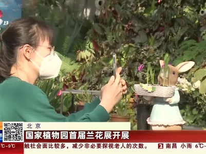 北京：国家植物园首届兰花展开展