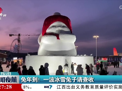 兔年到！ 一波冰雪兔子请查收
