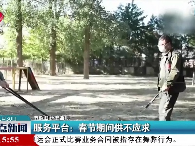 【节假日新型兼职】服务平台：春节期间供不应求