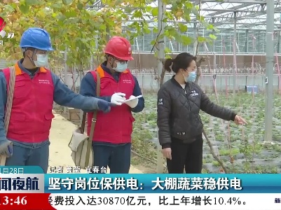 坚守岗位保供电：大棚蔬菜稳供电