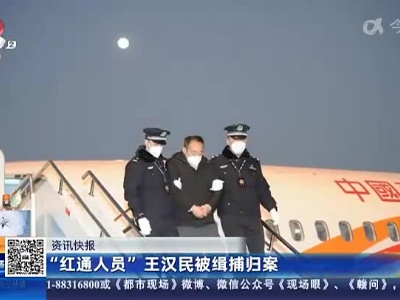 “红通人员”王汉民被缉捕归案