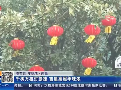 【春节近 年味浓】南昌：千树万枝灯笼挂 吉星高照年味浓