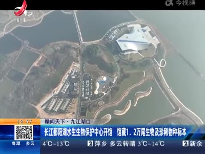 都市现场·午间版20230101