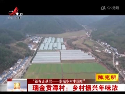 【新春走基层——幸福乡村中国年】瑞金贡潭村：乡村振兴年味浓