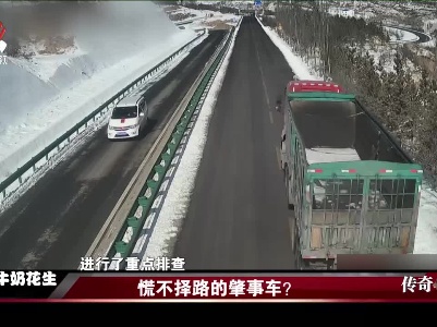 传奇故事20230108 慌不择路的肇事车？