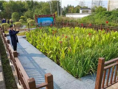 提速提质建设 开足马力生产 罗文江调研督导“两不停”推进情况