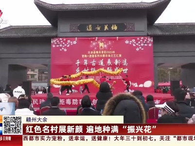 赣州大余：红色名村展新颜 遍地种满“振兴花”