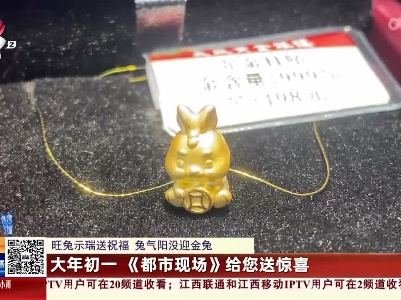 【旺兔示瑞送祝福 兔气阳没迎金兔】大年初一 《都市现场》给您送惊喜