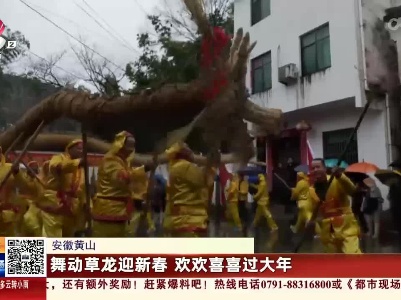 安徽黄山：舞动草龙迎新春 欢欢喜喜过大年