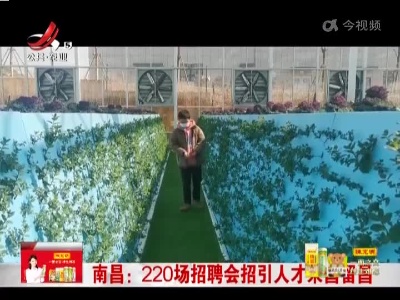 南昌：220场招聘会招引人才来昌留昌
