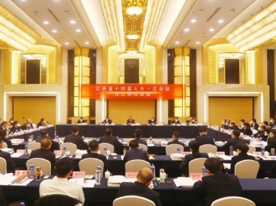 吉泰盆地灌区工程规划审查总结会召开 肖玉兰出席并讲话