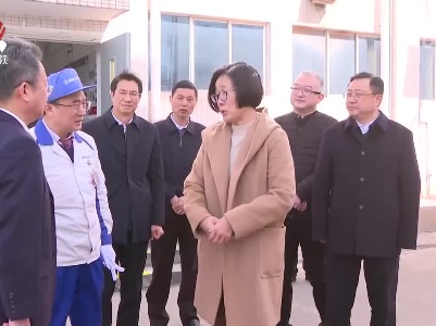 吴忠琼在赣州经开区章贡区调研