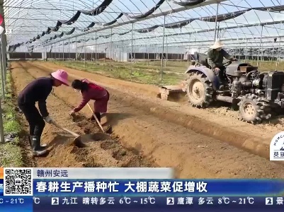 赣州安远：春耕生产播种忙 大棚蔬菜促增收