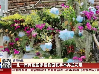 一北一南两座国家植物园联手举办兰花展