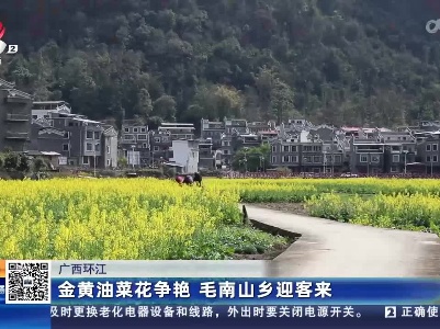 都市现场20230219