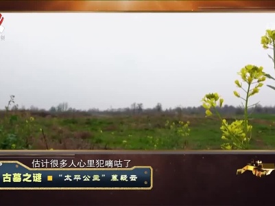经典传奇20230217 古墓之谜·“太平公主”墓疑云