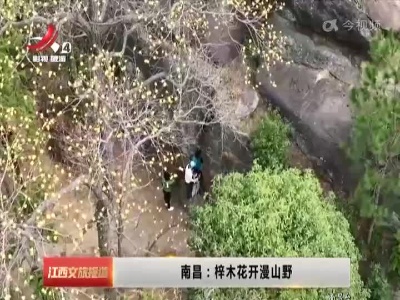 江西文旅报道20230222
