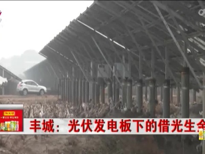 丰城：光伏发电板下的借光生金