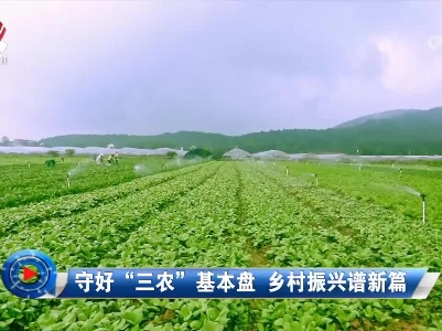 社会传真20230217 守好“三农”基本盘 乡村振兴谱新篇