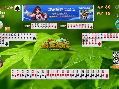 谁是赢家20230216