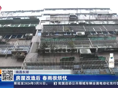 南昌东湖：房屋改造后 春雨很烦忧