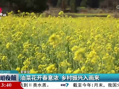 油菜花开春意浓 乡村振兴入画来