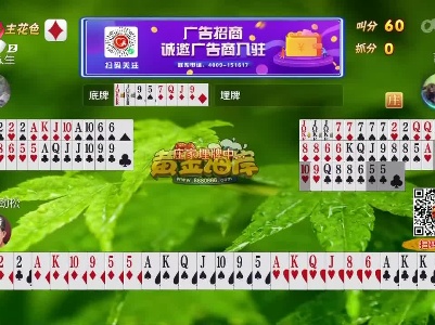 谁是赢家20230210
