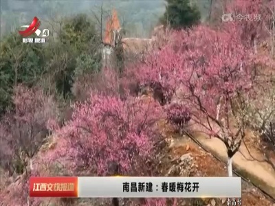 江西文旅报道20230213
