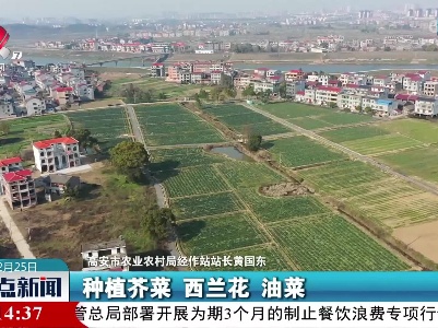 整点新闻20230225 12:00