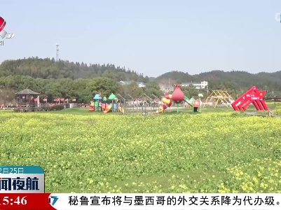 油菜花开春意浓 出游踏青正当时
