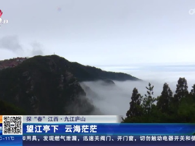 【探“春”江西】九江庐山：望江亭下 云海茫茫