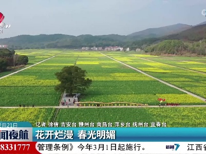 花开烂漫 春光明媚