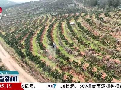 整点新闻20230224 12:00