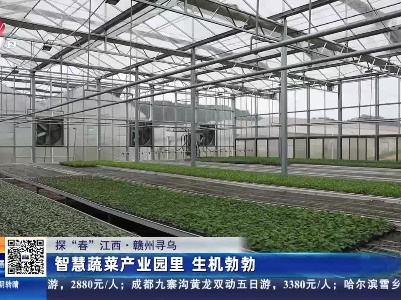 【探“春”江西】赣州寻乌：智慧蔬菜产业园里 生机勃勃